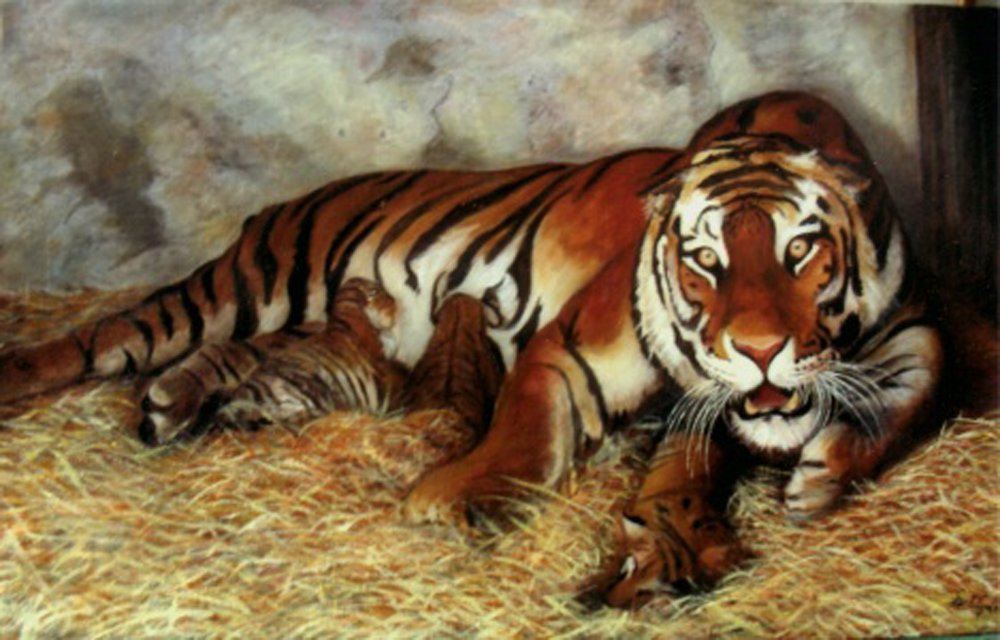 tigre in gabbia con i suoi cuccioli